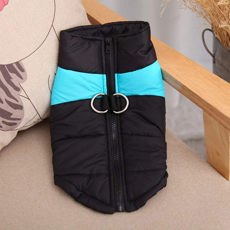 Waterproof Winter Dog Coat - Dogezy