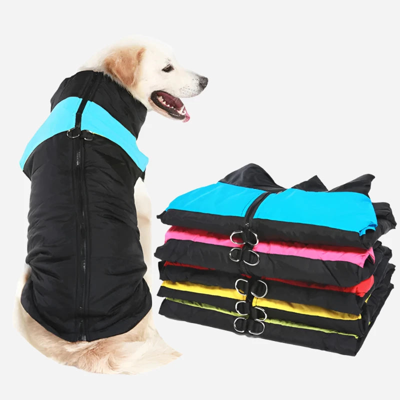 Waterproof Winter Dog Coat - Dogezy