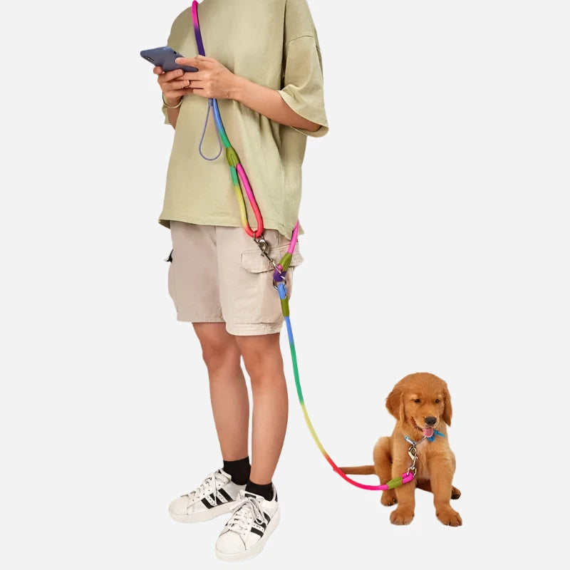 Hands-Free Leash - Dogezy