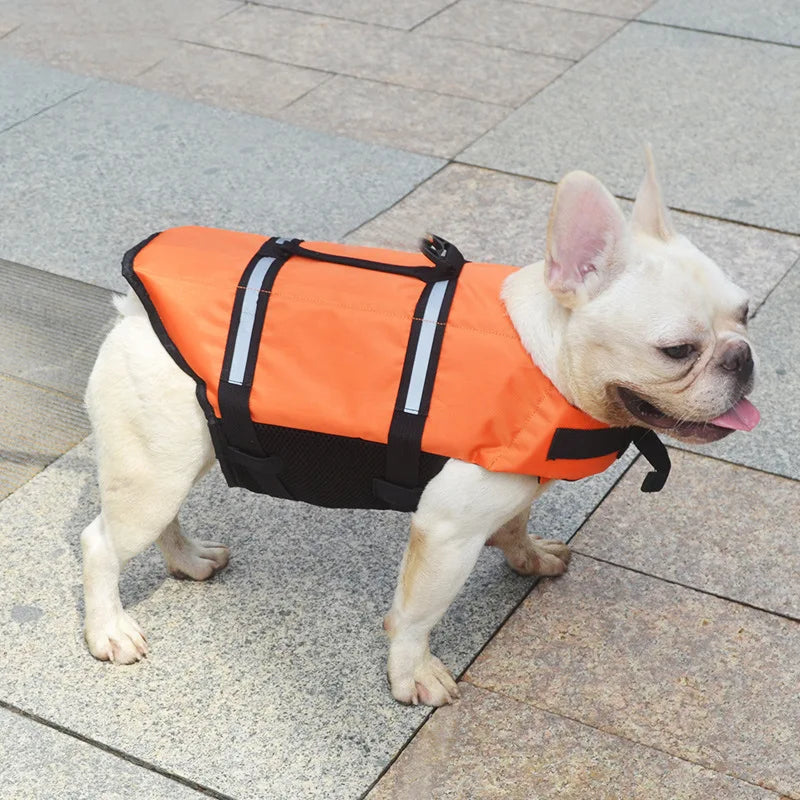 Life Vest - Dogezy